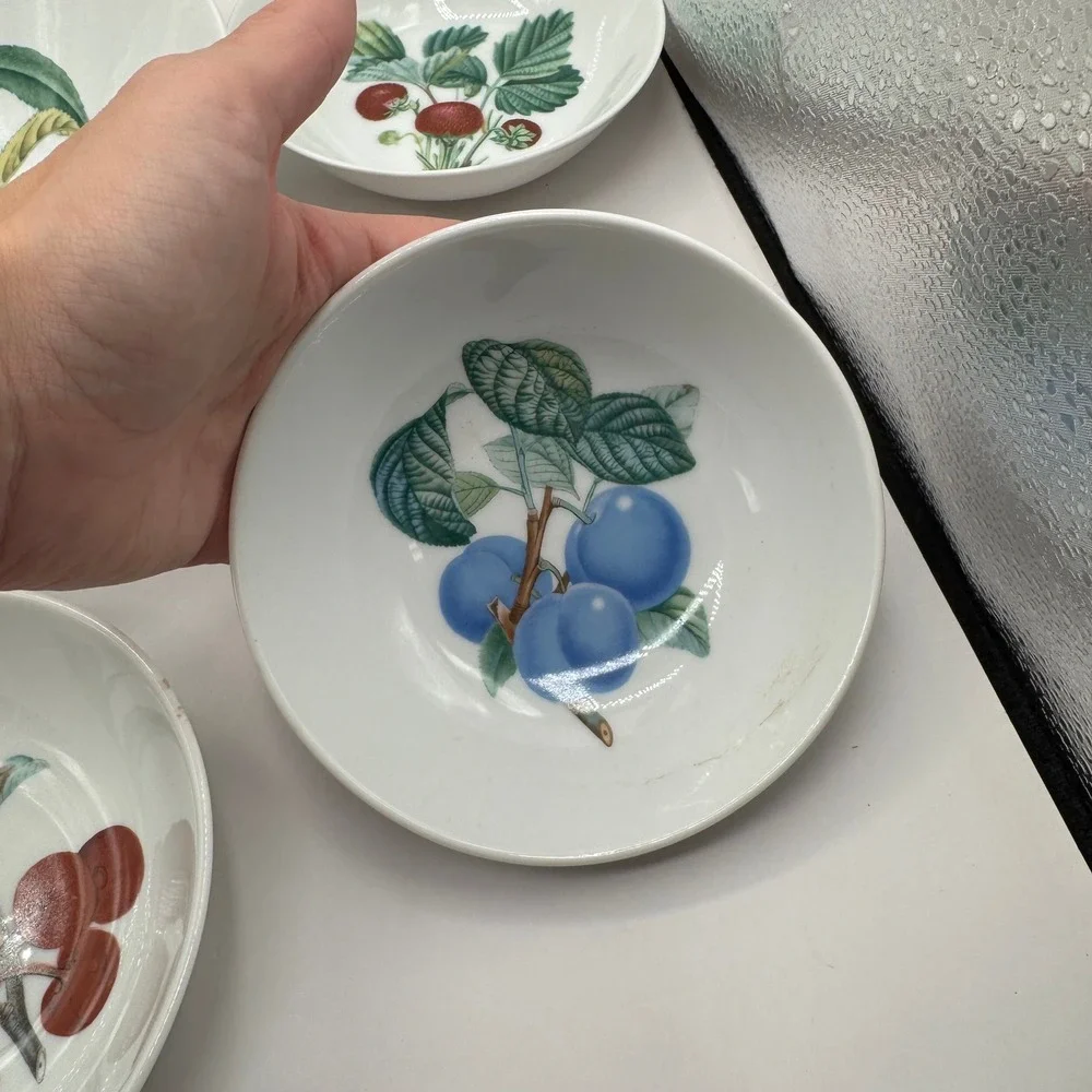 Kaiser Fruit Bowl Set Vintage West Germany Serving Berry Botanical Set of 6